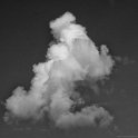 _JLP2244_IJFR